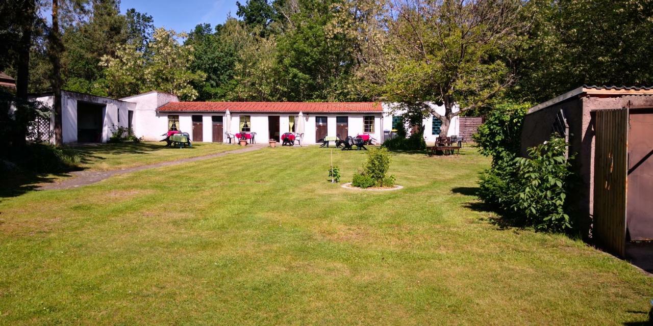 Ferienparadies Waldidylle, Familiengefuehrt Seit 20 Jahren - Mit Grossem Pool Und Viel Platz! Haida Экстерьер фото